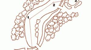 Pianificate il vostro tragitto sul campo da golf