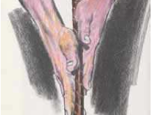 Grip con i palmi delle mani