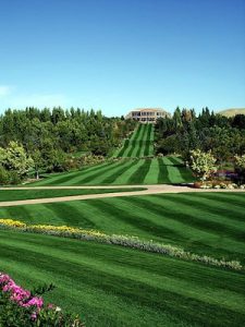 L’allegra vita dei golfisti – il fairway