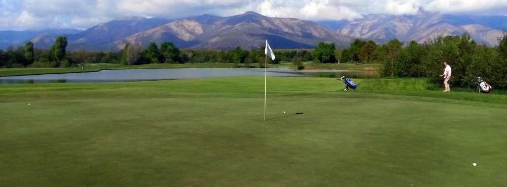 paolo.masotti49@gmail.com