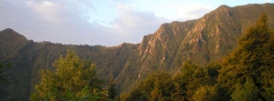 iofedeci92